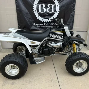 2002 Yamaha Banshee 350 Twin