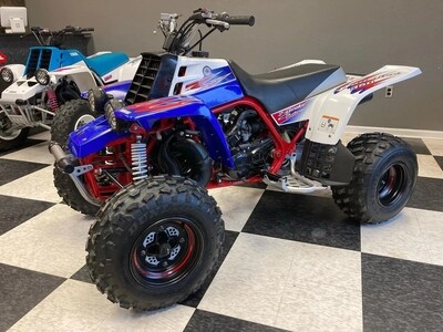 2010 YAMAHA BANSHEE