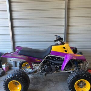 Alternative view of 1995 banshee