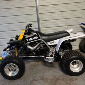 Alternative view of 2001 yamaha banshee