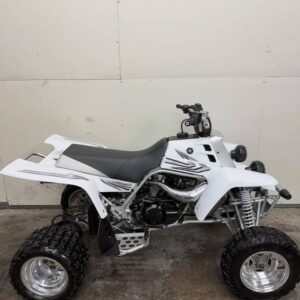 Alternative view of 2006 yamaha banshee