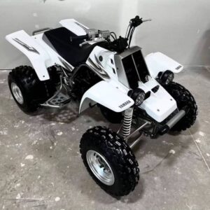 Alternative view of 2006 yamaha  Banshee