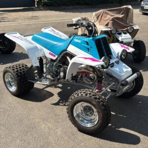 Alternative view of 1992 banshee