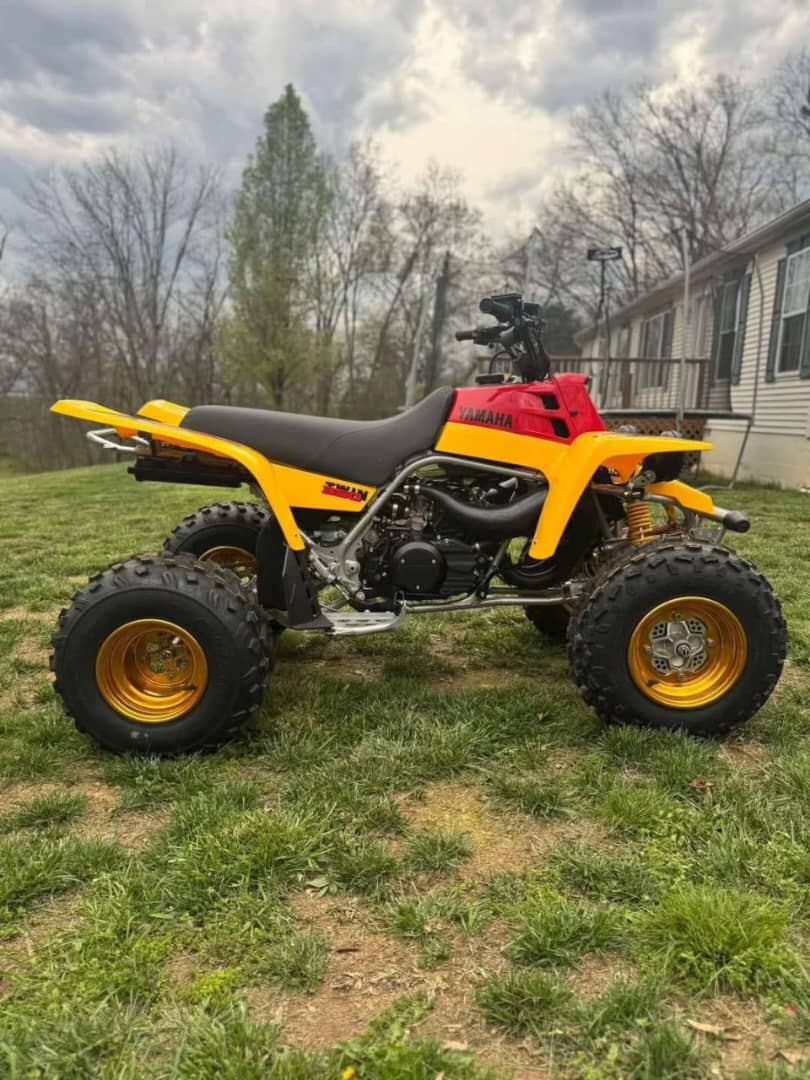YAMAHA BANSHEE - Image 4