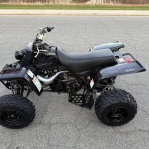 Alternative view of 2006 yamaha banshee