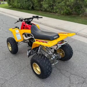 Alternative view of 1997 banshee